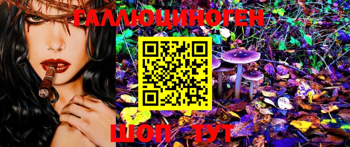 Биробиджан  Псилоцибиновые грибы MAGIC MUSHROOMS  Вход с VPN 